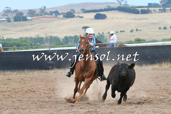 BraidwoodCampdraft2014_2464
