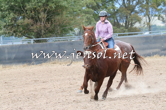 BraidwoodCampdraft2014_2544