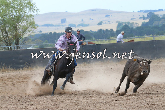 BraidwoodCampdraft2014_2401