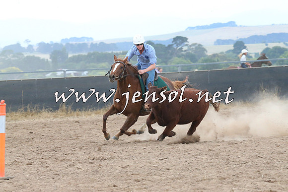 BraidwoodCampdraft2014_2431