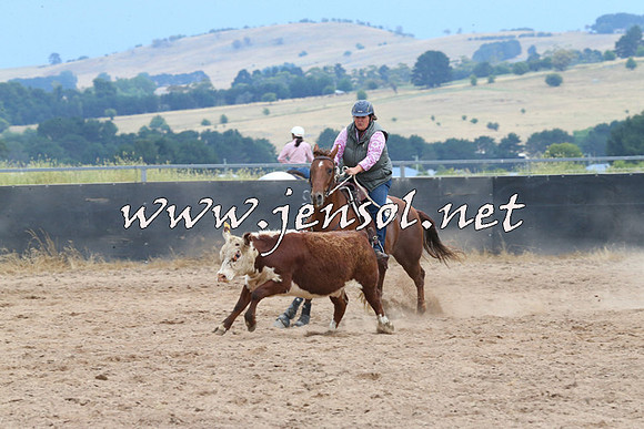 BraidwoodCampdraft2014_2521