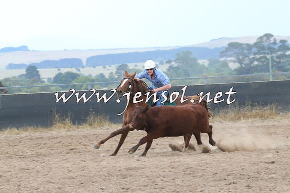 BraidwoodCampdraft2014_2435