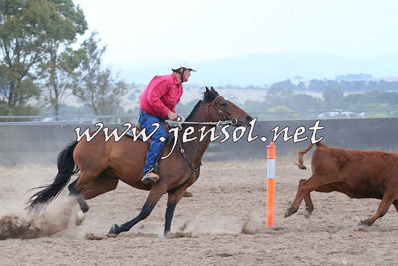BraidwoodCampdraft2014_2454