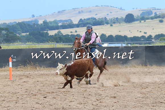 BraidwoodCampdraft2014_2520