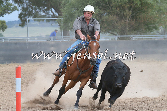 BraidwoodCampdraft2014_2484