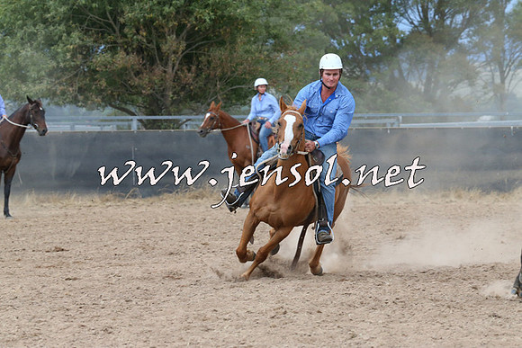 BraidwoodCampdraft2014_2553