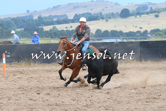 BraidwoodCampdraft2014_2470
