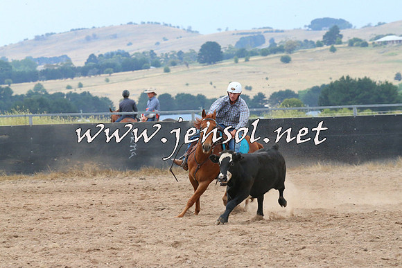 BraidwoodCampdraft2014_2418