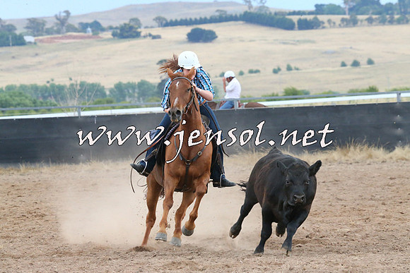 BraidwoodCampdraft2014_2461