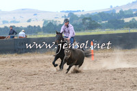 BraidwoodCampdraft2014_2396