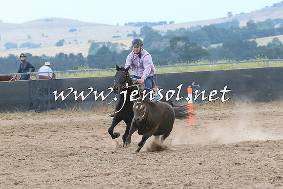BraidwoodCampdraft2014_2396