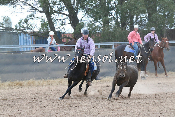 BraidwoodCampdraft2014_2407