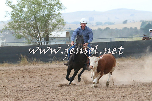 BraidwoodCampdraft2014_2376