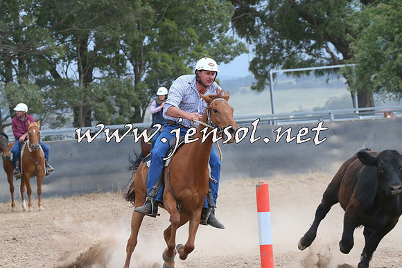 BraidwoodCampdraft2014_2505