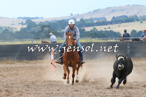 BraidwoodCampdraft2014_2414