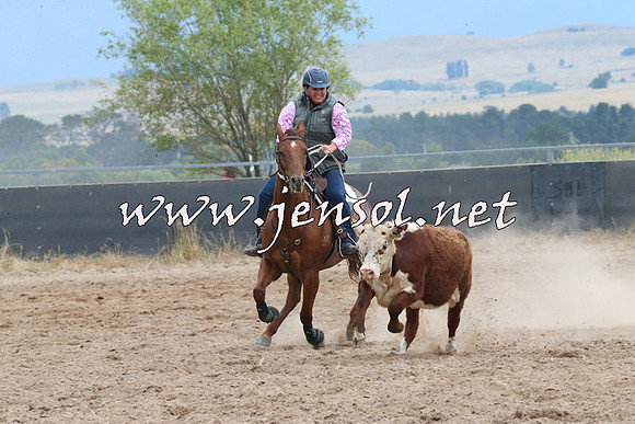 BraidwoodCampdraft2014_2527