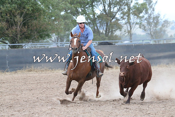 BraidwoodCampdraft2014_2437