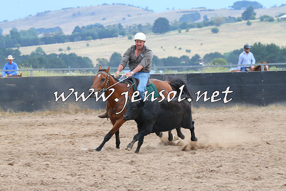 BraidwoodCampdraft2014_2472