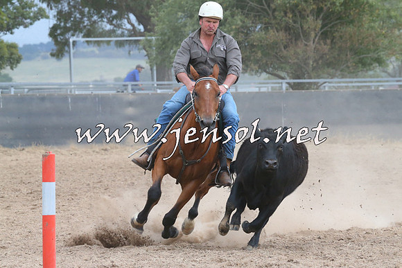 BraidwoodCampdraft2014_2485