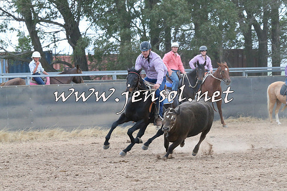 BraidwoodCampdraft2014_2409