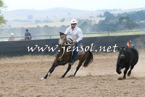 BraidwoodCampdraft2014_2381