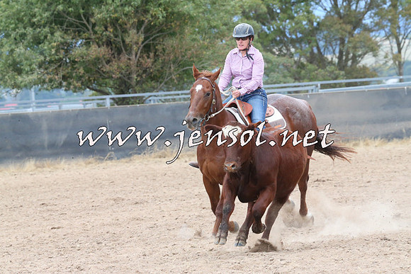 BraidwoodCampdraft2014_2545
