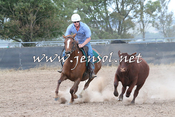 BraidwoodCampdraft2014_2436
