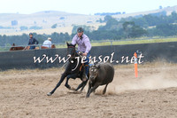 BraidwoodCampdraft2014_2397