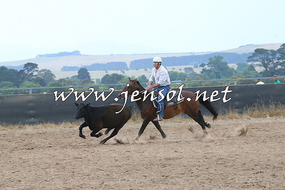 BraidwoodCampdraft2014_2430
