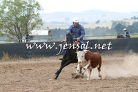 BraidwoodCampdraft2014_2372