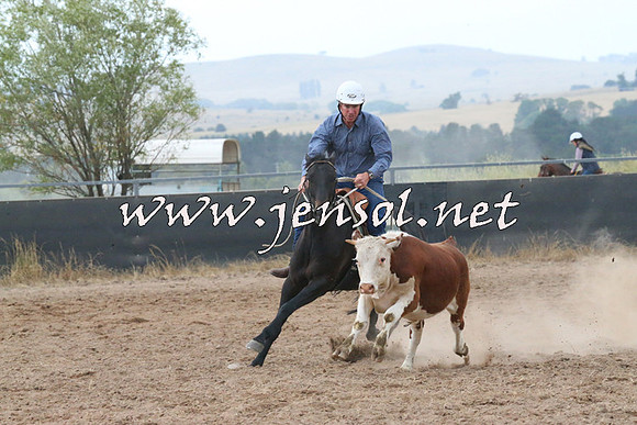 BraidwoodCampdraft2014_2372