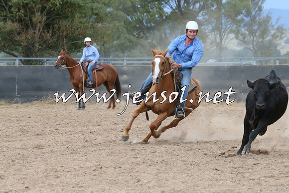 BraidwoodCampdraft2014_2554
