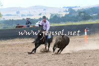 BraidwoodCampdraft2014_2404