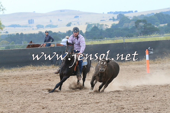 BraidwoodCampdraft2014_2404