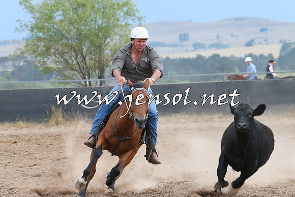 BraidwoodCampdraft2014_2475