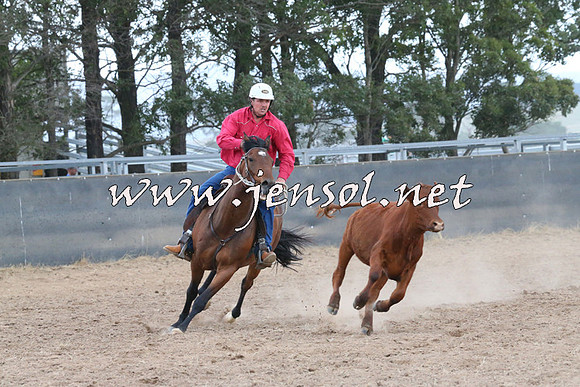 BraidwoodCampdraft2014_2450