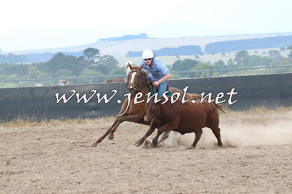 BraidwoodCampdraft2014_2433