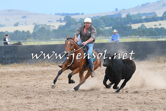 BraidwoodCampdraft2014_2479