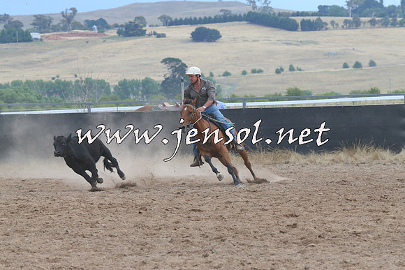 BraidwoodCampdraft2014_2483