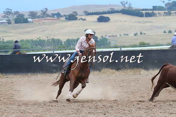 BraidwoodCampdraft2014_2529