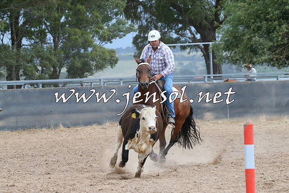 BraidwoodCampdraft2014_2515