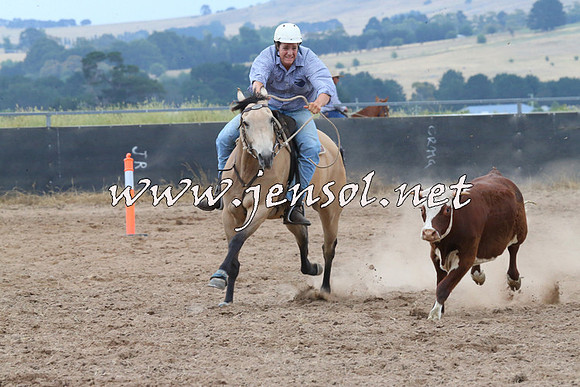 BraidwoodCampdraft2014_2422