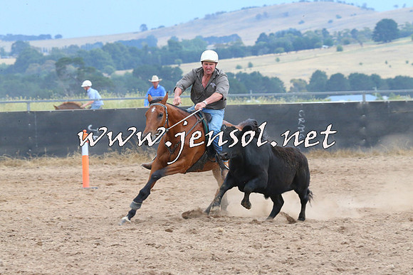 BraidwoodCampdraft2014_2471