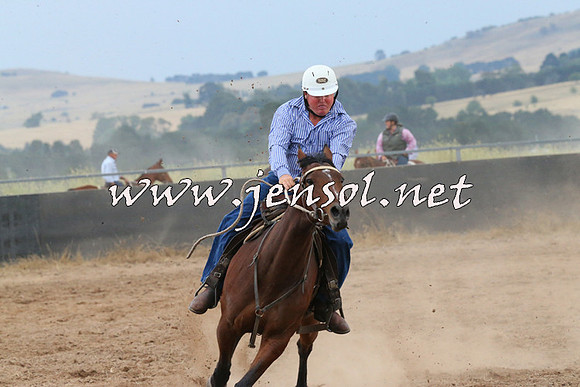 BraidwoodCampdraft2014_2441