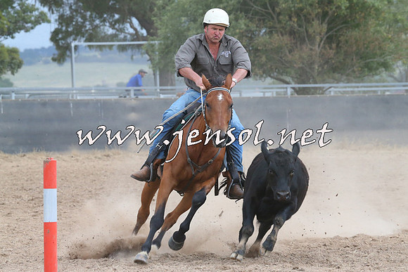 BraidwoodCampdraft2014_2486