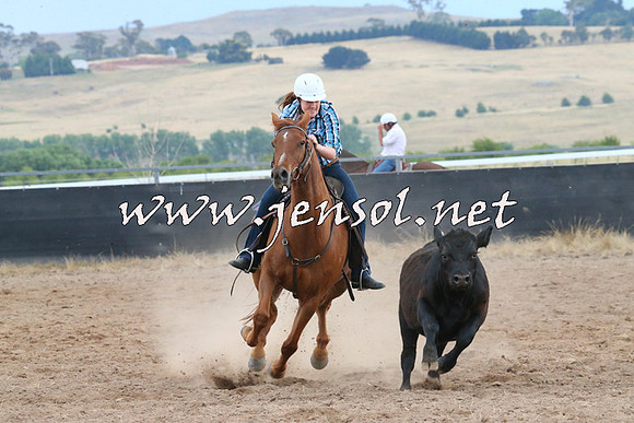BraidwoodCampdraft2014_2460