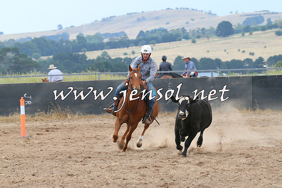 BraidwoodCampdraft2014_2417
