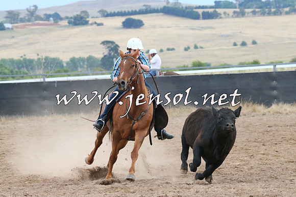 BraidwoodCampdraft2014_2462