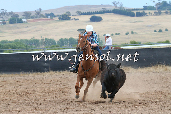 BraidwoodCampdraft2014_2467
