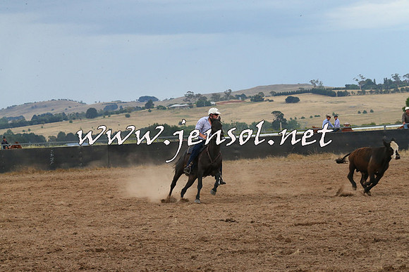 BraidwoodCampdraft2014_2458